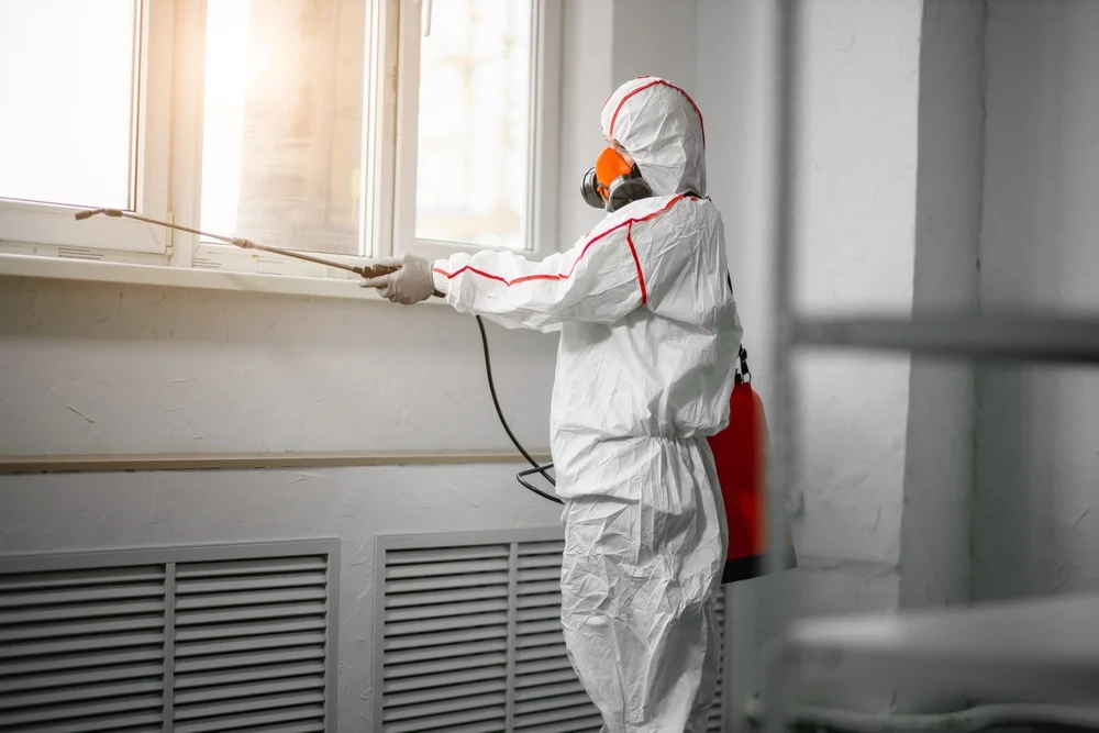 Professional mold remediation services in Hardwick, MA